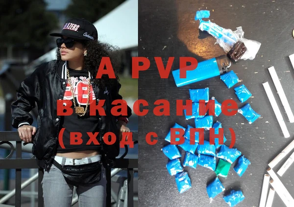 шишки Осташков