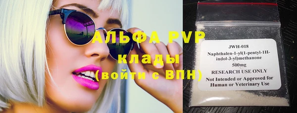шишки Осташков