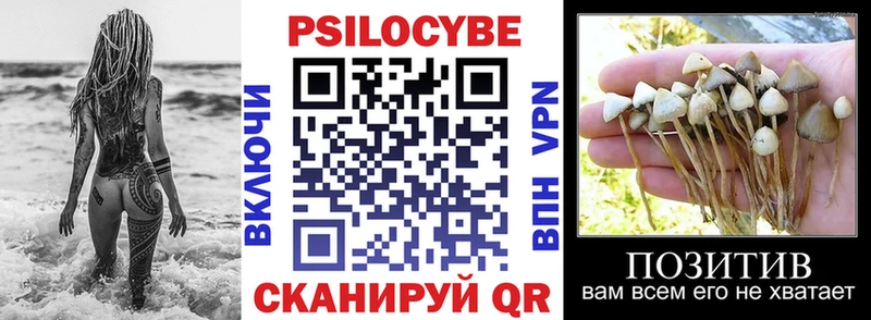 Галлюциногенные грибы Cubensis blacksprut онион Благодарный
